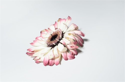 描写秋天的词句（精选）