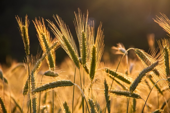 寓意兴旺的建筑公司名字(精选118个)