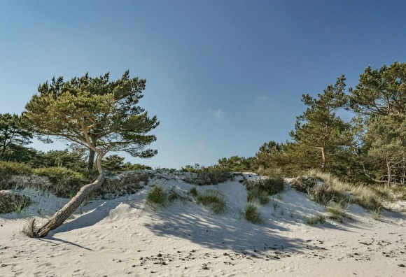 可爱萌妹子专属网名最新(141个)