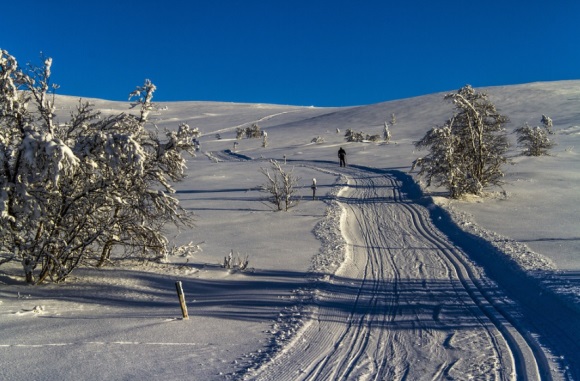 女人优雅有韵味的网名(精选139个)