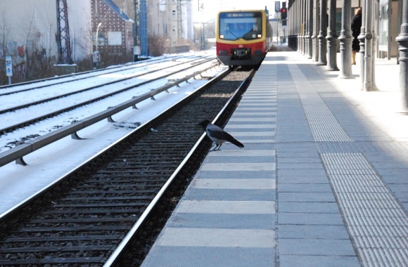 朗朗上口好记的网名(144个)