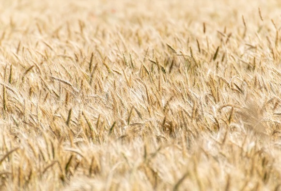 孤单的情侣网名(共85个)