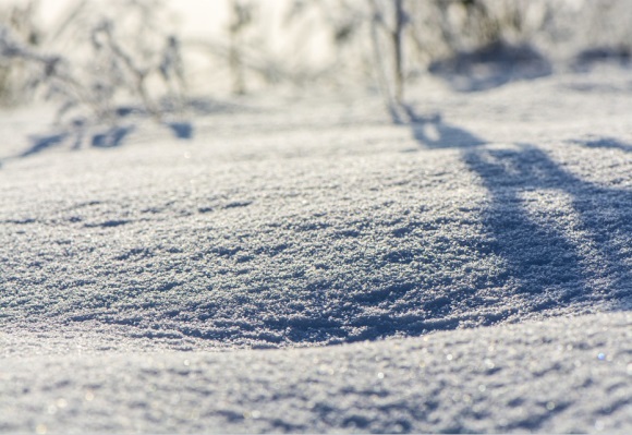 气质独特的女孩名字(共181个)