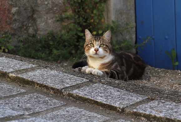 最新一个人QQ网名精选(共135个)