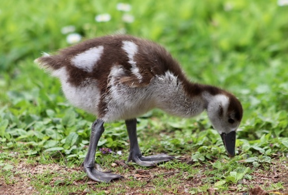 又好听又帅气的名字(精选133个)