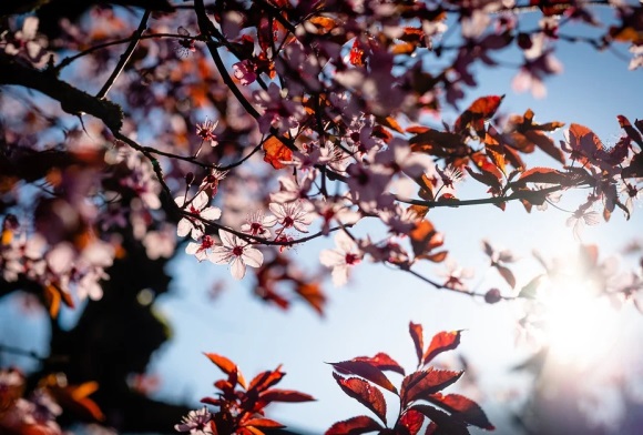 lol最骚网名(共137个)