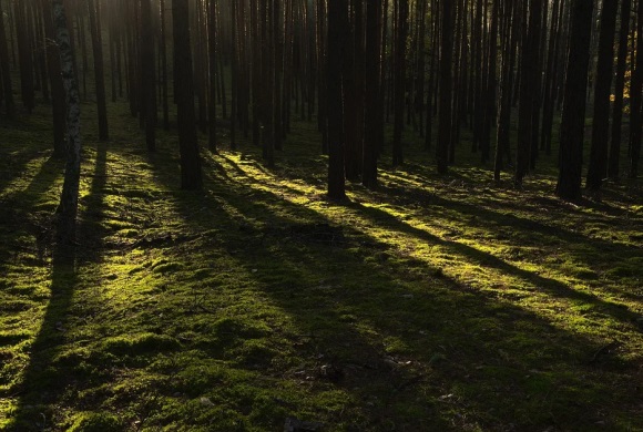 带艳字的网名(精选131个)