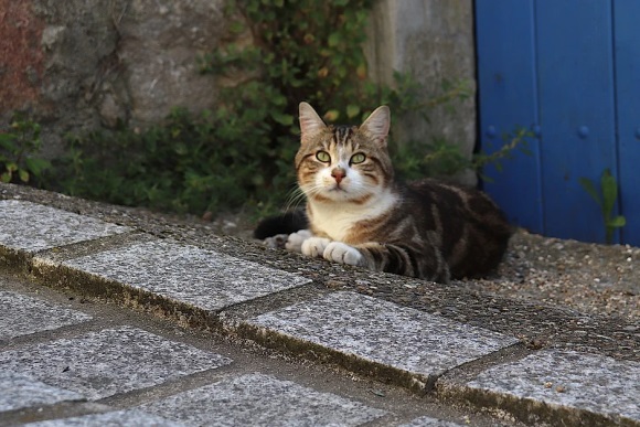 2024最潮情侣网名(精选88个)