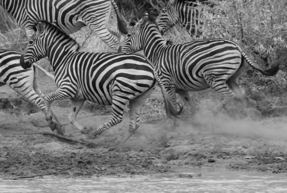 男生专用QQ网名(精选132个)