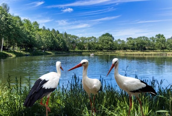 带陈字的qq网名(精选134个)