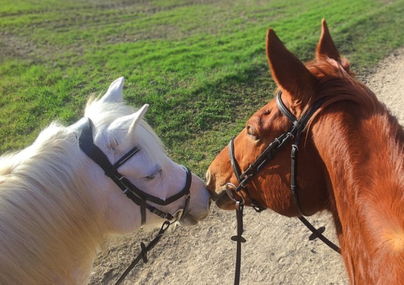 唯美好听可爱少女心的名字 少女心爆棚可爱名字(精选132个)