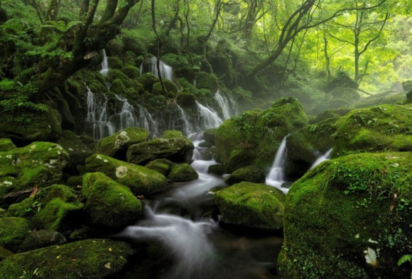 情侣甜蜜网名大全(共88个)