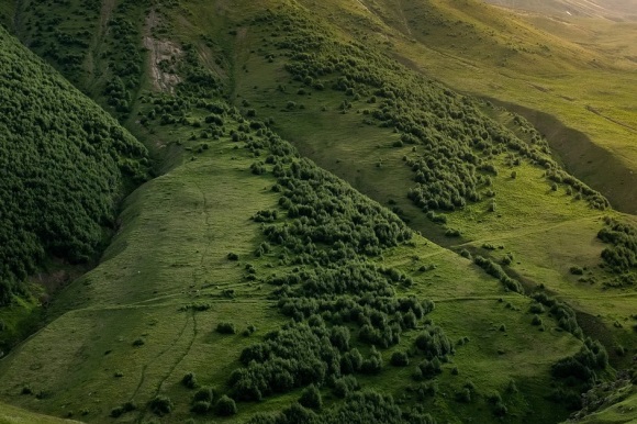 唯美伤感女生网名(精选133个)