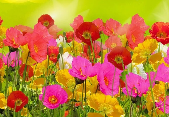 90后超拽唯美女生网名(共110个)