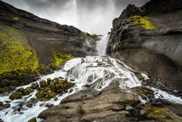 高端逗比的搞笑网名(优选119个)