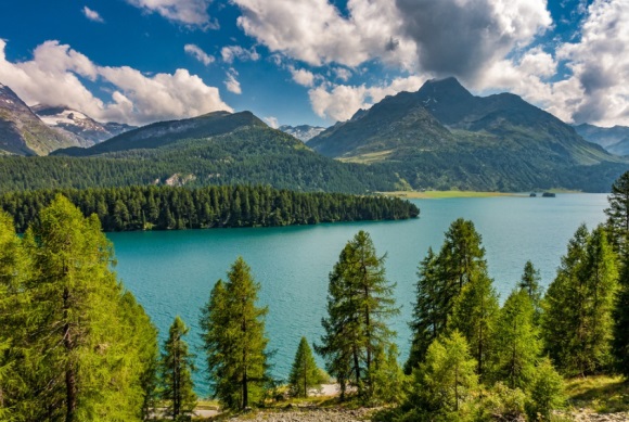 可爱又不失搞笑的网名(精选134个)