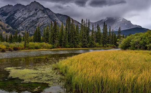 怀念过去的有趣网名(优选130个)