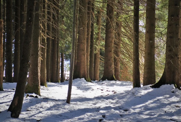欧气十足的游戏名(优选108个)