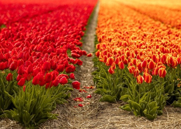 男生有气质的英文昵称(优选78个)