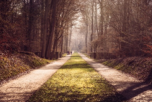 积极向上的阳光女生qq网名(共88个)