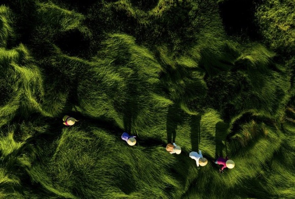 简单可爱的女生网名大全(95个)