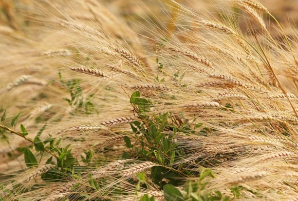 关于快乐的英文昵称大全(78个)