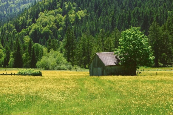 新颖而有内涵团队名字(优选95个)