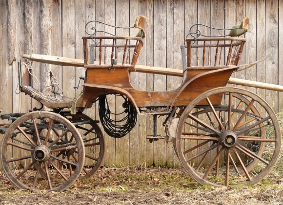 姐对弟暖心的简短句子(精选58句)