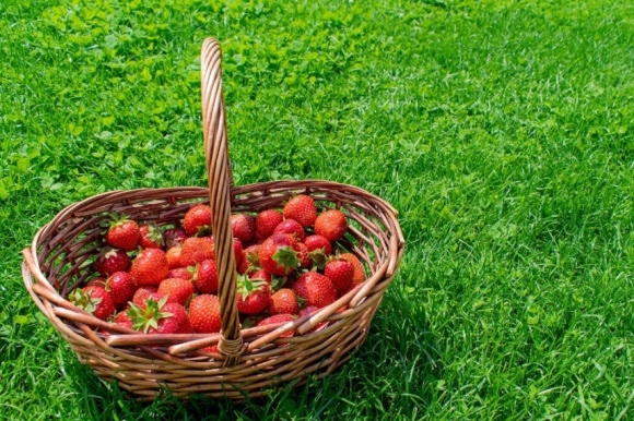 结束一段感情的句子 结束一段感情的句子图片