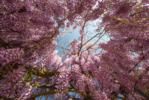 步步惊心经典句子