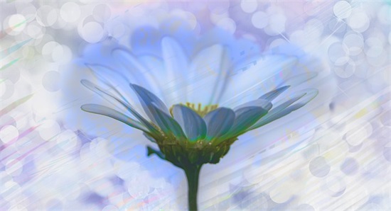 东北话方言句子 东北话方言句子顺口溜(精选80句)