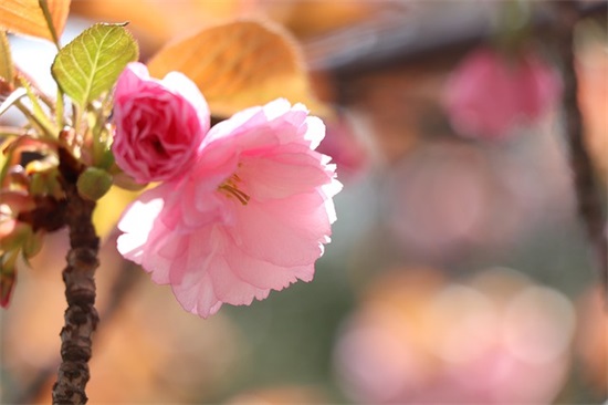 让顾客信任感动的句子 关于被信任的感动句子