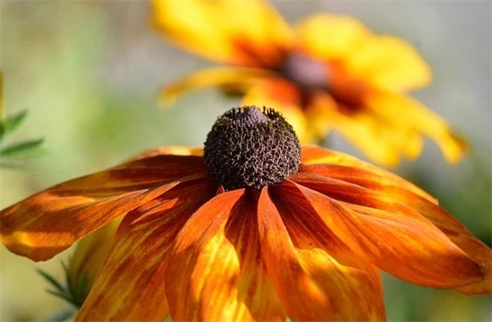 有深度有品味的微信名(共140个)