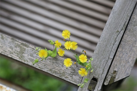 评论音乐的句子经典(精选373句)