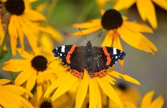 适合一辈子不换的网名微信昵称(精选134个)