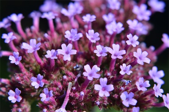 描写三月的优美句子开头