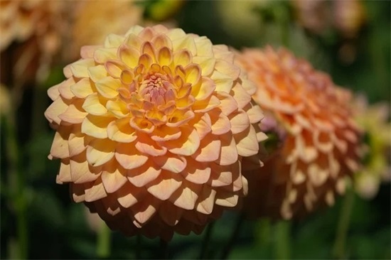 微信搞笑的网名笑死人最新(126个)