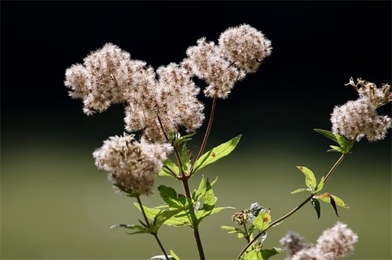 好听的微信昵称男成熟(精选132个)