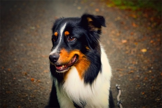 男人平安好运旺财微信名(优选129个)