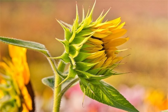 有深意的微信昵称三个字(精选147个)