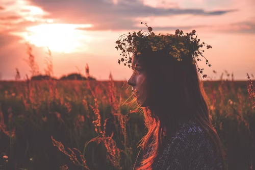 2024新版网名大全