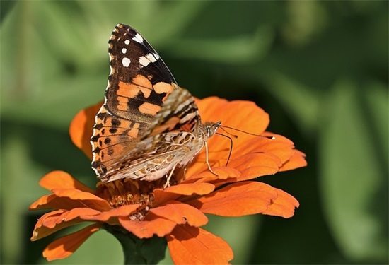 伤感的微信名字大全男生版精选(120个)
