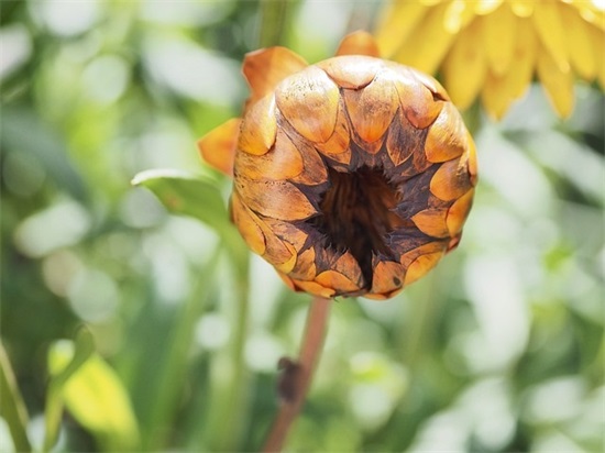 好听幽默的微信昵称(精选115个)