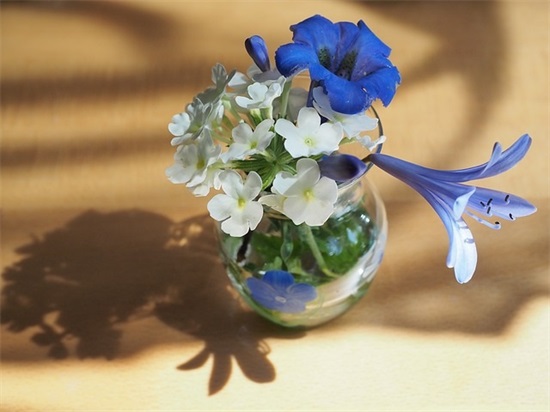 甜蜜幸福的微信昵称(131个)