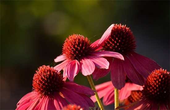 微信非主流繁体字网名男生霸气(精选107个)