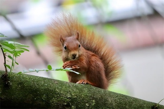 怀旧伤感的微信名字(精选112个)