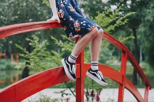 葬爱家族有哪些名字(优选79个)