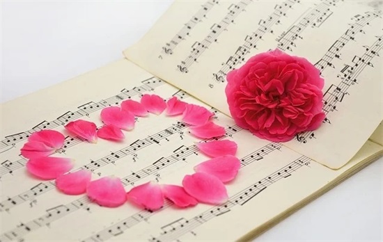 一眼就爱上的微信昵称(精选130个)