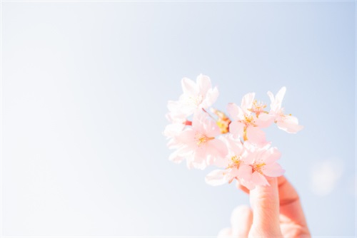 姓杨女宝宝中间带昕字取名大全（最新姓杨女宝宝中间带昕字取名）