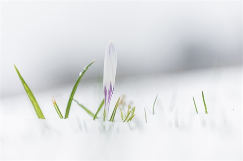 《诗词》中自信的女宝宝名字大全（精选《诗词》中自信的女宝宝名字）